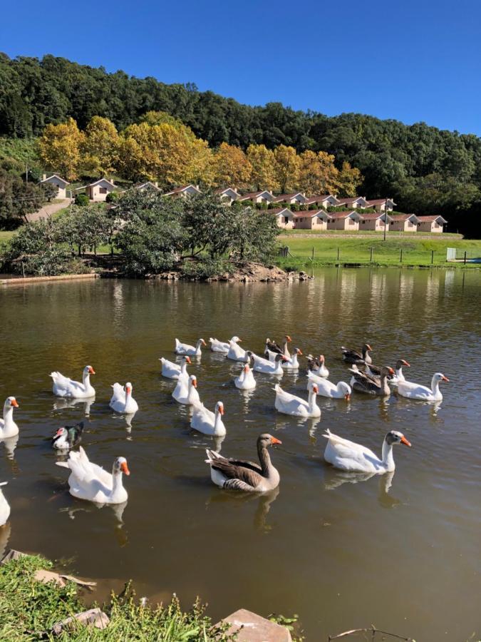 Pousada Parque das Pitangueiras Flores da Cunha Exterior foto